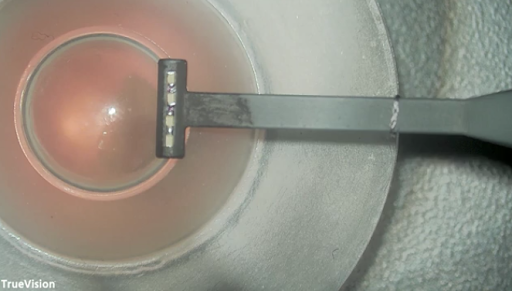 Artificial Eye View